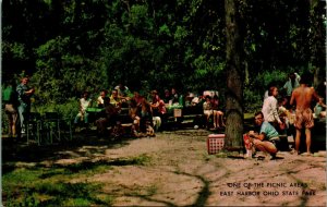 Picnic Area East Harbor Ohio State Park OH UNP Chrome Postcard E12