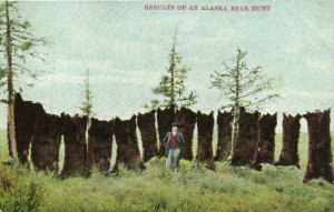 PC CPA US, ALASKA, RESULTS OF A BEAR HUNT, Vintage Postcard (b24712)