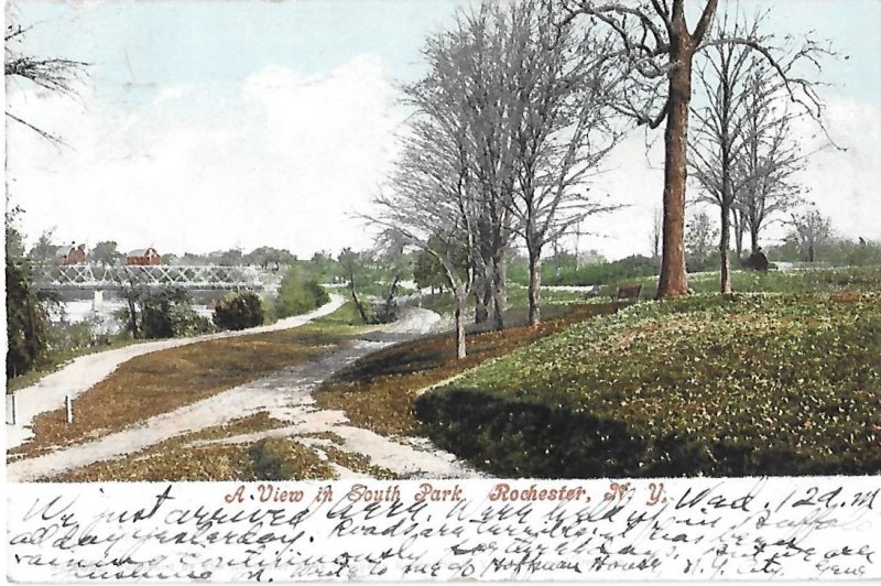 A View in South Park Rochester New York Undivided Back 1905