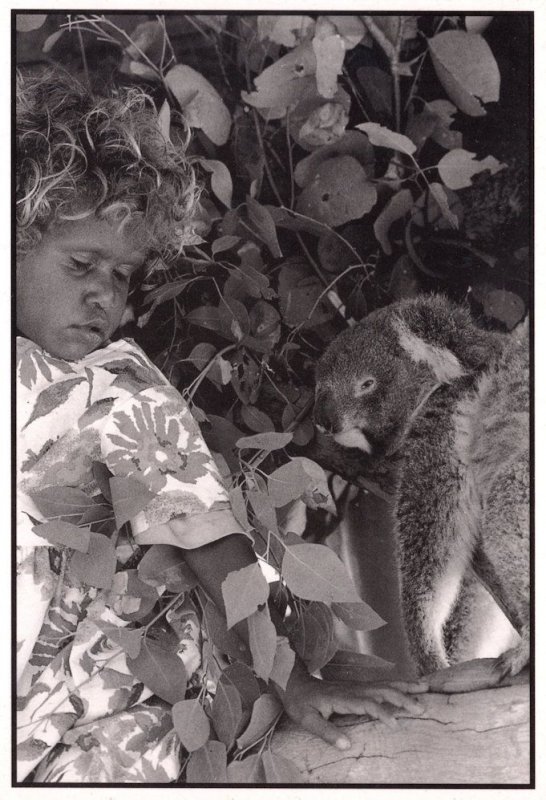 Aborigine Child & Baby Koala Bear Australian Postcard