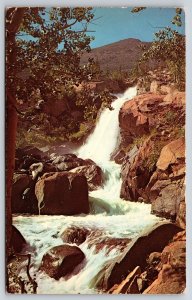 Rocky Mountain Nat'l Park Colorado~Alberta Falls On Fall River~Vintage Postcard