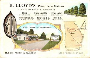 Advertising B LLOYD'S PECAN SERVICE STATIONS Roadside SC & GA  ca1940's Postcard