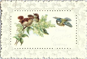 1880's Die-Cut Lace Frame Cheery Christmas Birds Victorian Trade Card P119