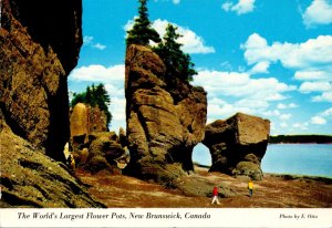 Canada British Columbia Hopewell Rocks The Flower Pot Rocks