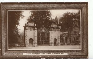 Nottinghamshire Postcard - Welbeck Lion Gates - Sparken Hill - RP - Ref U4590