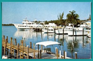 Bahamas - M/V New Shoreham At Walker's Cay - [FG-377]