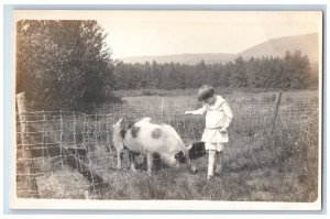 c1910's Little Boy Pig Hog Heffer At Field Unposted Antique RPPC Photo Postcard