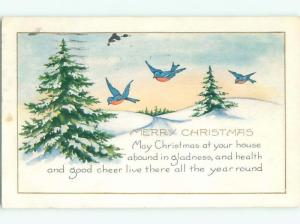 Divided-Back CHRISTMAS BIRDS SCENE Pretty Postcard W8523