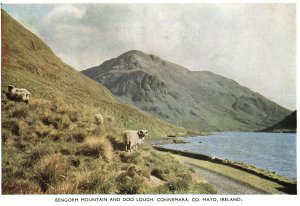 Postcard Bengorm Mountain And Doo Lough Connemara Co. Mayo Ireland