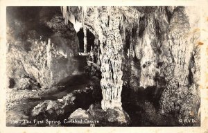 Carlsbad Cavern New Mexico 1948 RPPC Real Photo Postcard The First Spring