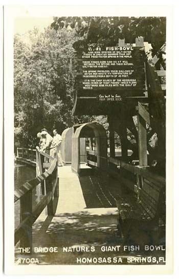 Homosassa FL Bridge Giant Fish Bowl RPPC Real Photo Postcard