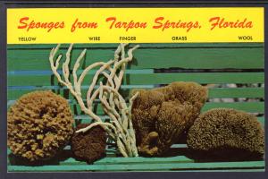 Sponges From Tarpon Springs,FL
