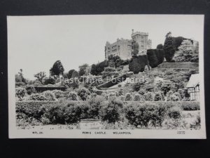 Welshpool POWIS CASTLE - Old RP Postcards by Frith Ltd