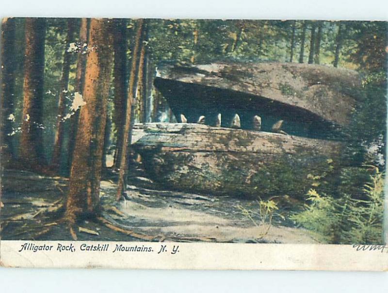 Pre-1907 ALLIGATOR ROCK Catskill Mountains - Kingston & Poughkeepsie NY A1462