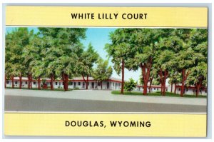 Douglas Wyoming WY Postcard White Lily Court Exterior Roadside c1940's Trees