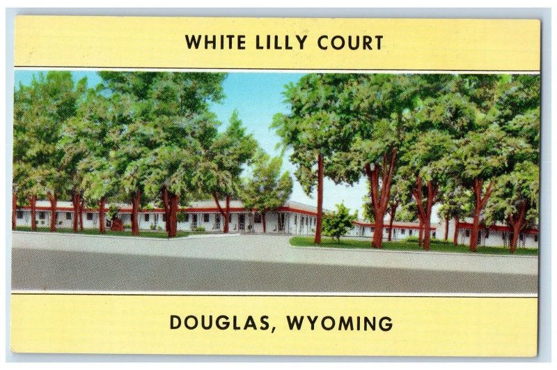 Douglas Wyoming WY Postcard White Lily Court Exterior Roadside c1940's Trees