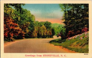 Scenic, Greetings from Stoneville NC Vintage Postcard L67