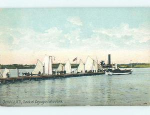 Divided-Back PARK SCENE Seneca New York NY hk7900