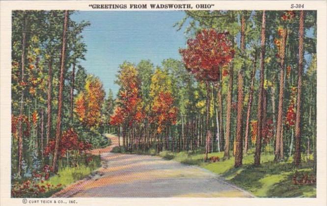 Ohio Greetings From Wadsworth Road Scene Curteich