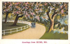 MO, Missouri  HUME Greetings  ROAD~EARLY CAR  Bates County  ca1920's Postcard