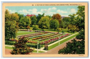 1941 Section Of Rose Gardens Maplewood Park Rochester NY Posted Vintage Postcard 