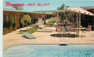 1950s Tehema Flamingo Motor Hotel Red Bluff California Crocker pool 11564