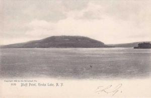Bluff Point - Keuka Lake NY, New York - UDB
