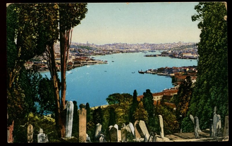 Constantinople Eyoub Cemetery. E.F. Rochat color card. French offices in Turkey