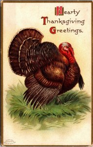 Thanksgiving Postcard Turkey Sitting in Grass~2441