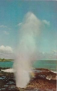 Hawaii Kauai Spouting Horn Sea Water Geyser