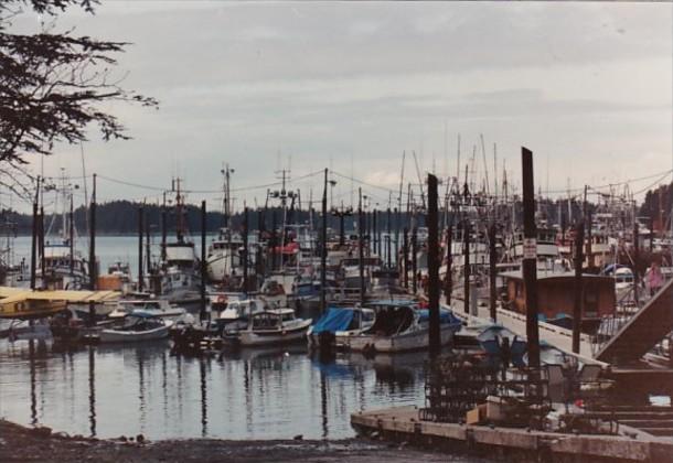 Alaska Yakutat Harbor Scene With Fishing Boats