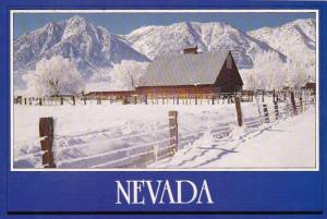 Nevada Wintertime Scene