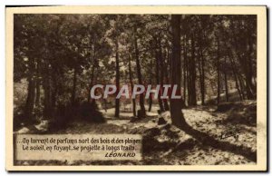 Old Postcard A Torrent Of Parfuns Spell Des Bois Et Des Plaines Leonard