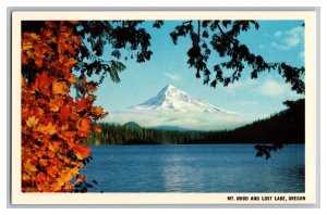 Vintage Postcard OR Mt. Hood Lost Lake Oregon