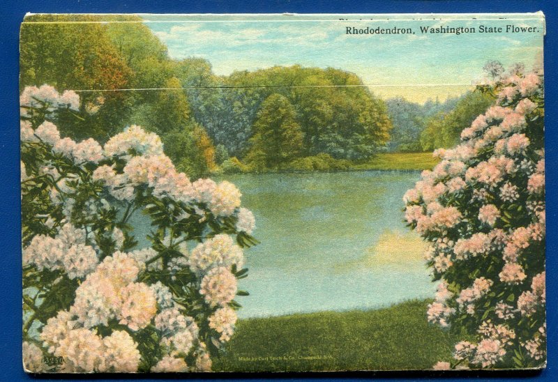 Seattle Washington wa Parks Blvds Mt Baker Rainier postcard folder #2