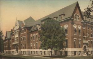 Champaign IL University Natural History Hall c1920s Postcard