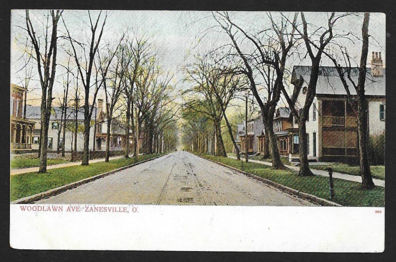 Street View Homes & Trees Woodlawn Avenue Zanesville Ohio Unused c1905
