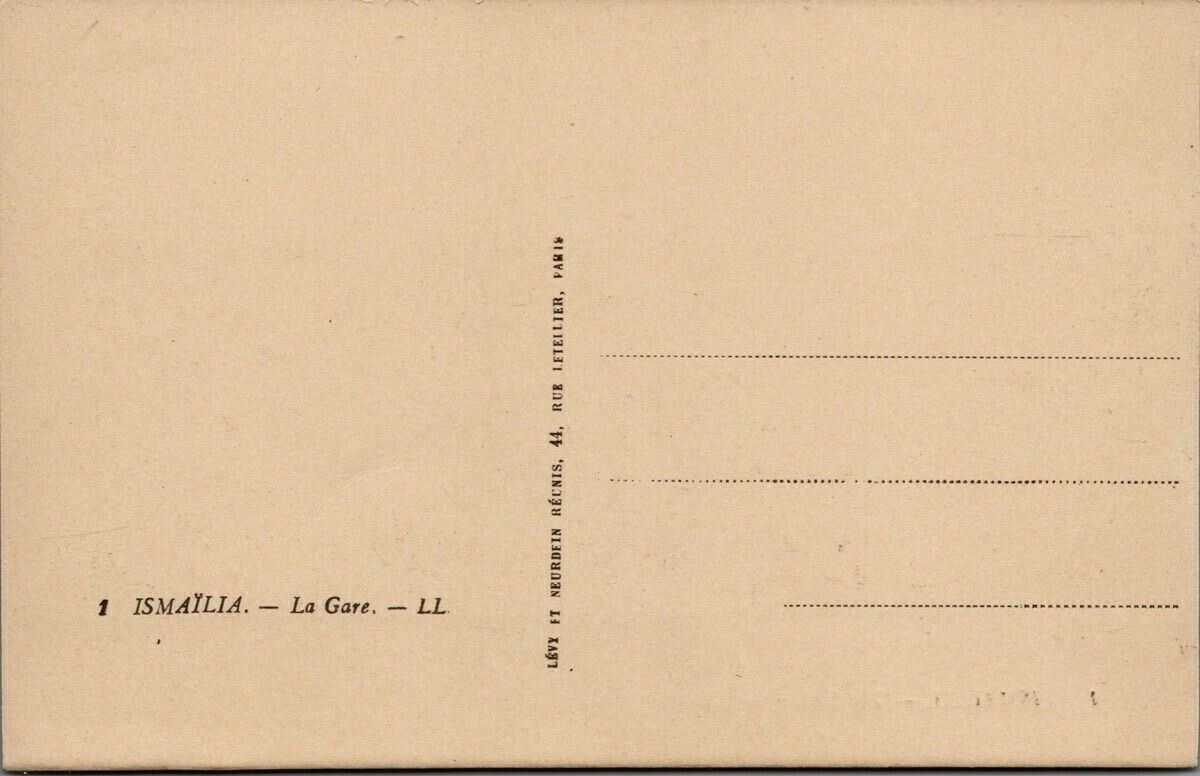 PC EGYPT, CAIRE, CHAMEAUX DU MARIAGE ARABE, Vintage Postcard (b34346