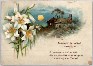Aanmerkt de leliën, 1913 White Lilies w/ Moonlit Cottage, Bible Verse, Postcard