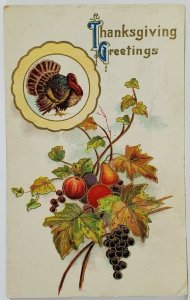 Thanksgiving Greetings Turkey Fall Foliage Fruit c1915 Postcard T14