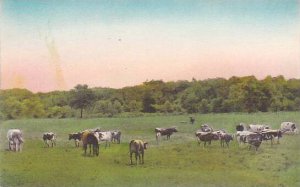 New Jersey Denville Farm Saint Francis Health Resort Albertype