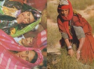 Tunisia Jeunes Filles Du Sud Hay Grass Farming 2x Postcard s