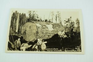 Vintage RPPC Loading Giant Redwood Tree In Washington Real Photo Postcard P72