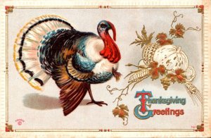 Thanksgiving Greetings With Turkey