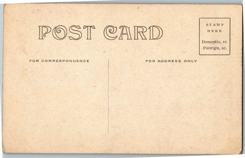 The Famous Rock Spring, Rock Springs Park Chester WV Vintage Postcard E35