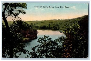 1916 Scene Iowa River Lake Forest Trees Iowa City Iowa Vintage Antique Postcard