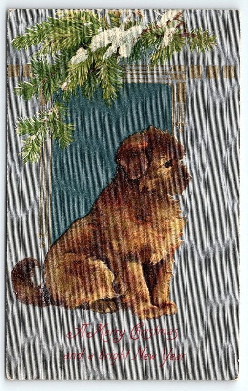 c1910 TERRIER DOG MERRY CHRISTMAS AND BRIGHT NEW YEAR MORRIS IL POSTCARD P2729