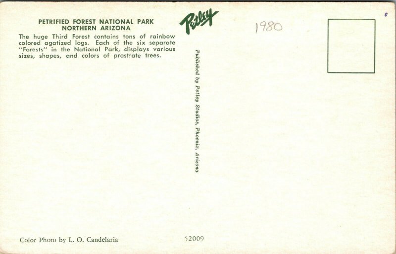 Vtg Arizona AZ Agatized Logs Petrified Forest National Park Postcard