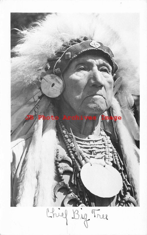 Native American Iroquois Indian, RPPC, Seneca Chief John Big Tree in Head Dress 