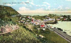 C.1910 Bird's Eye View Laupahoehoe Territory Hawaii Postcard F62